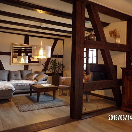 Duplex Saint Lustre, View Over Castle And Storks, 5 Mn From Colmar Егишем Екстериор снимка