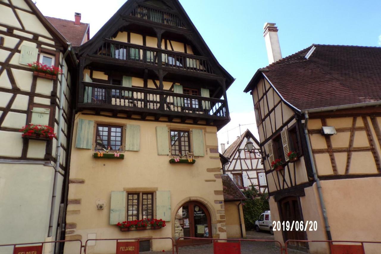 Duplex Saint Lustre, View Over Castle And Storks, 5 Mn From Colmar Егишем Екстериор снимка