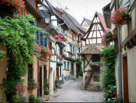 Duplex Saint Lustre, View Over Castle And Storks, 5 Mn From Colmar Егишем Екстериор снимка