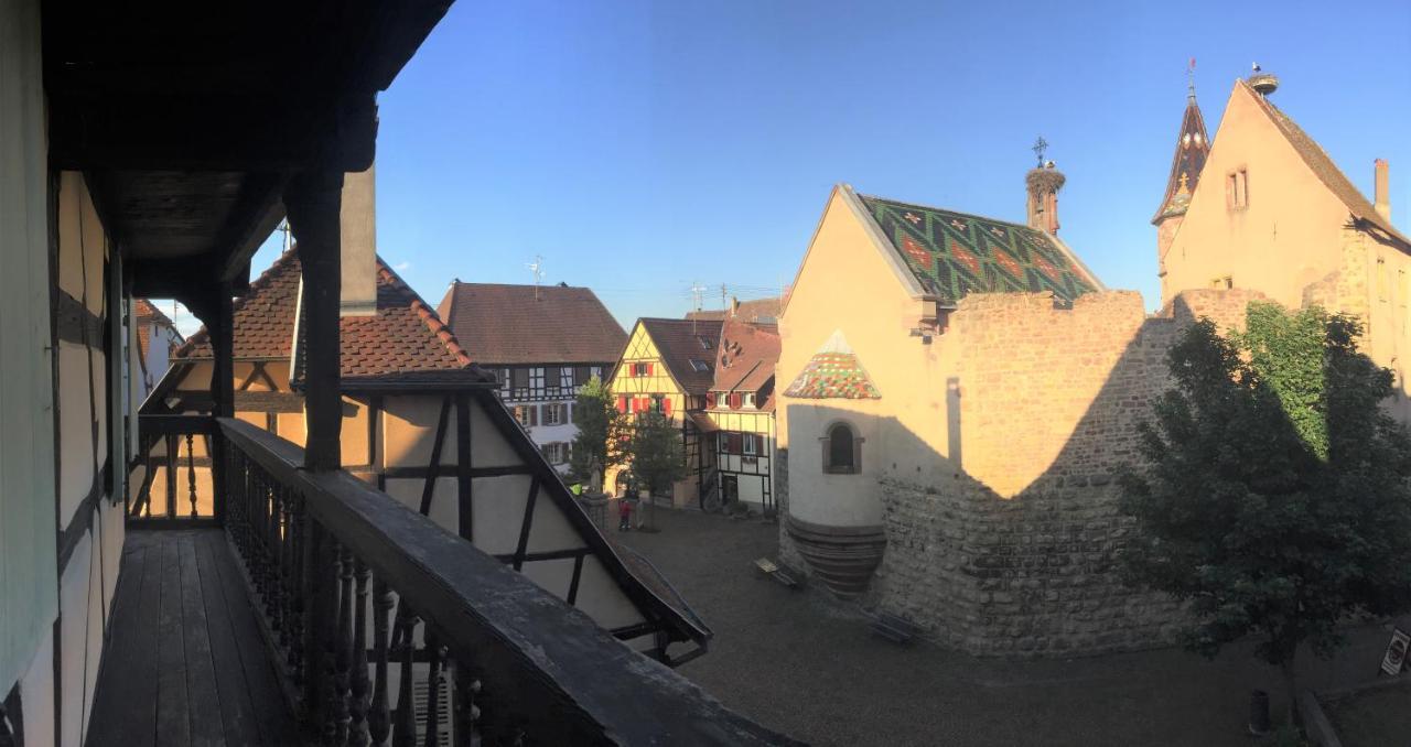 Duplex Saint Lustre, View Over Castle And Storks, 5 Mn From Colmar Егишем Екстериор снимка
